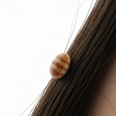 Close-up of a nit (lice egg) firmly attached to a strand of hair, clean image, no text