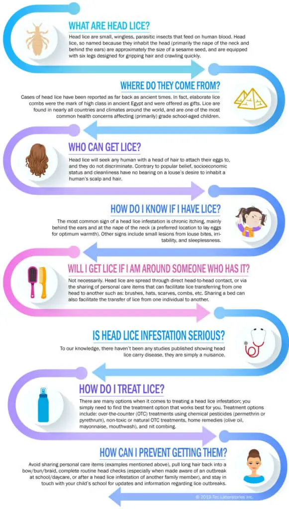 How Do Lice Myths Affect Lice Prevention?