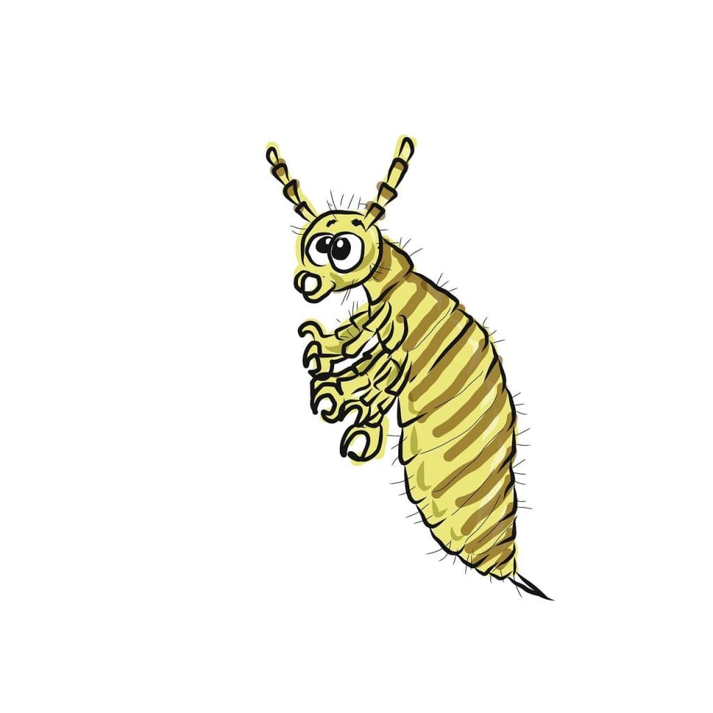 Myths Vs. Facts: What You Need To Know About Lice Nits