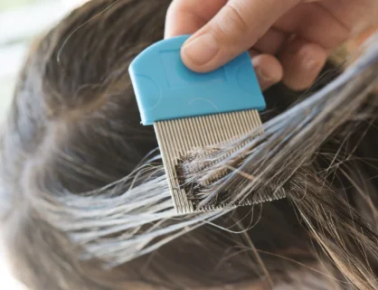 The Complete Guide To Using Lice Combs