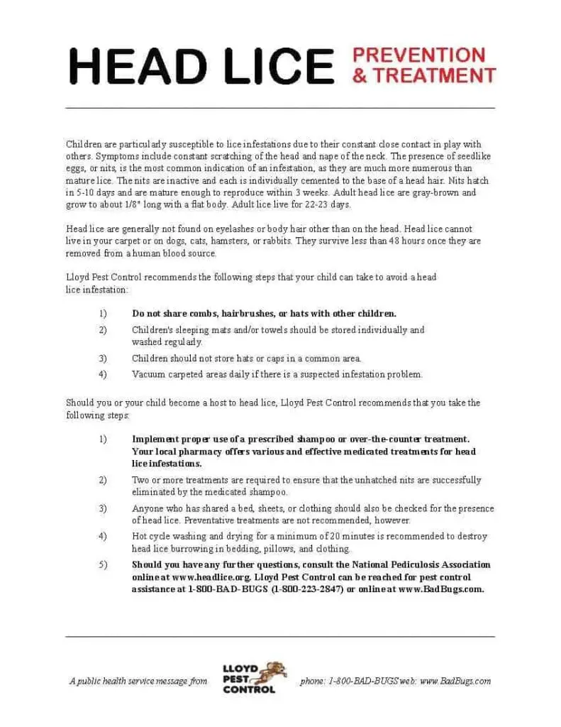 Understanding Lice Prevention In The Hospitality Industry