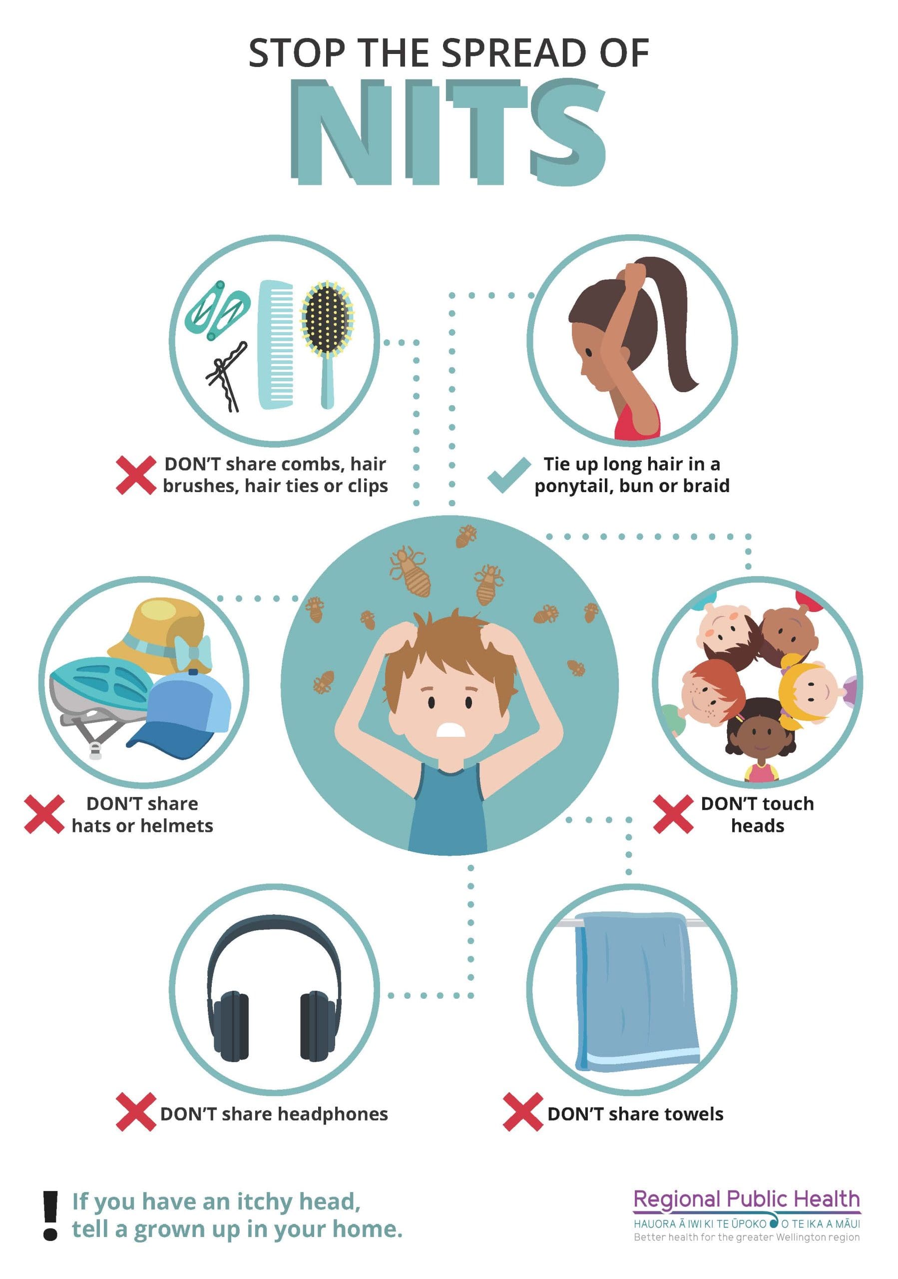 Beginners Guide: How To Prevent Lice Nits In The Home Environment