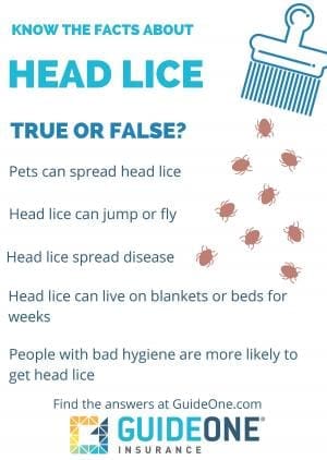 Myth Or Fact: Can Lice Nits Spread Through Hugging Or Close Contact?