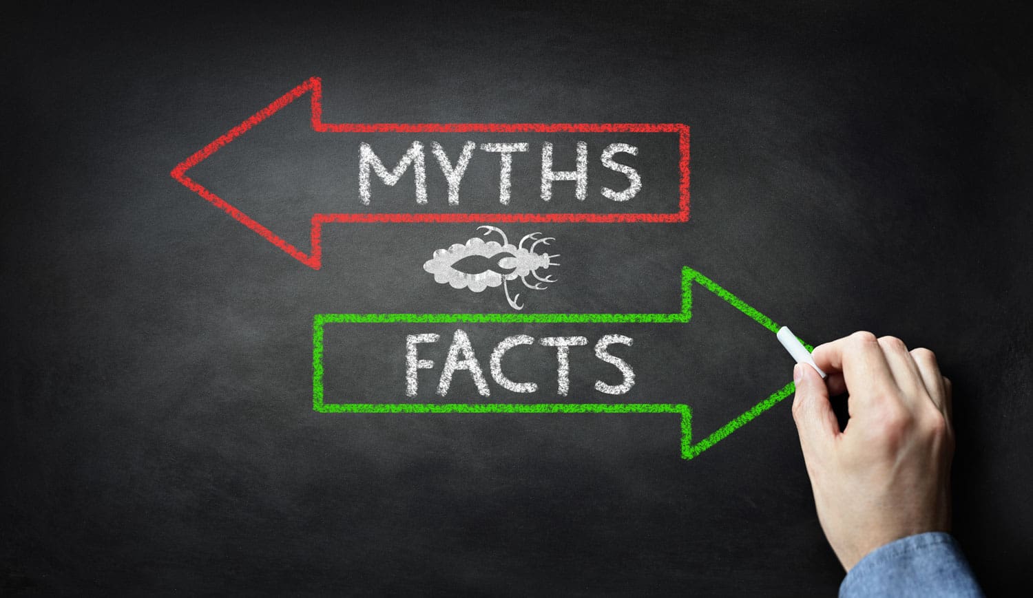 Myth Or Fact: Can Lice Nits Spread Through Hugging Or Close Contact?