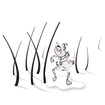 The Truth About Chemical Vs. Natural Lice Treatment