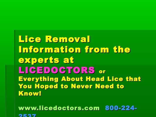 Expert Advice On Preventing Lice Nits In Group Foster Homes