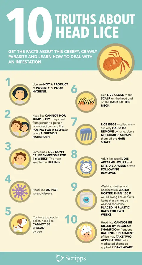 How To Properly Clean Your Home After A Lice Infestation