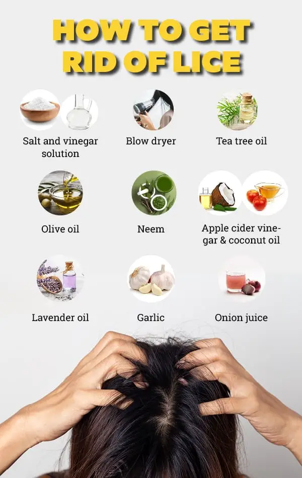 Shifting Energies During Lice Nits Treatment
